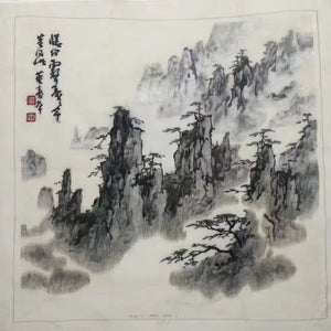 Delicate Hand embroidered Suzhou Embroidery Art:chinese mountains landscape 50cm 2918