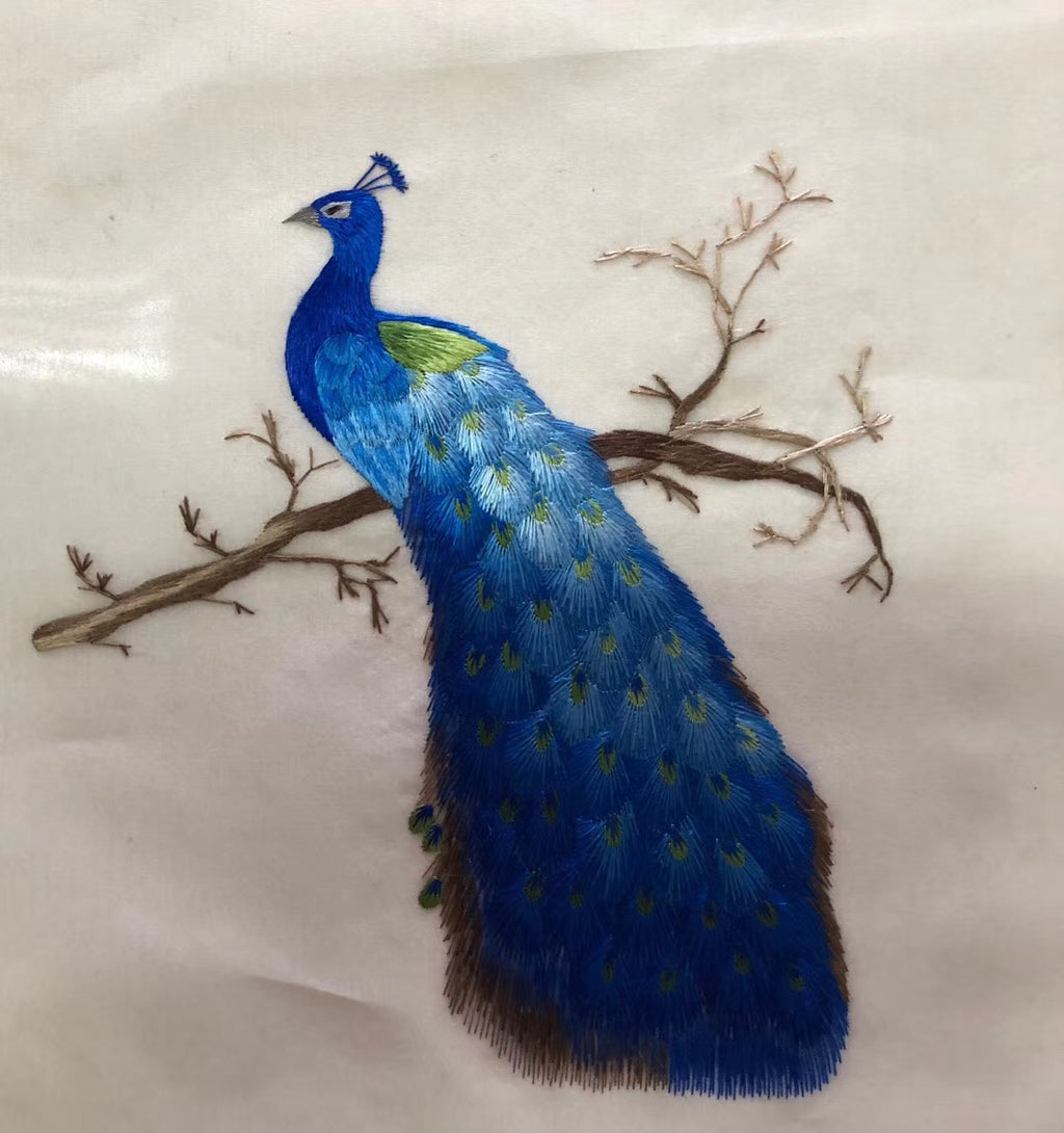 blue peacock embroidery